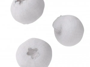 Blueberry 3D Model