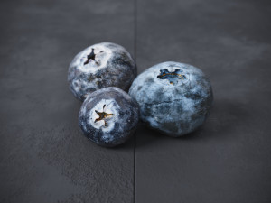 Blueberry 3D Model