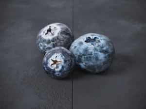Blueberry 3D Model