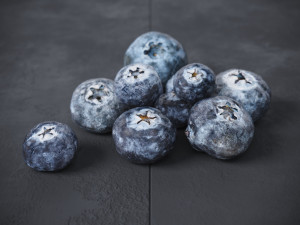 Blueberry 3D Model
