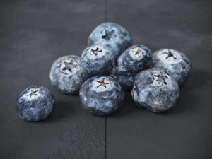 Blueberry 3D Model