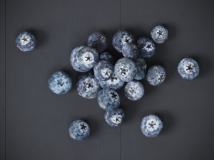 Blueberry 3D Model