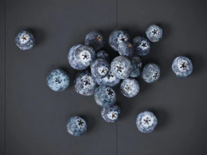 Blueberry 3D Model