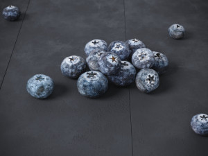 Blueberry 3D Model