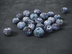 Blueberry 3D Model