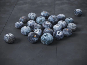 Blueberry 3D Model