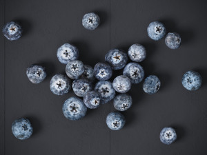Blueberry 3D Model