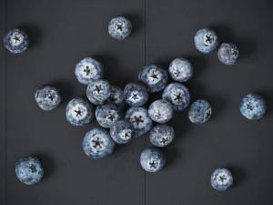 Blueberry 3D Model