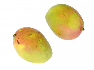 Mango 3D 模型