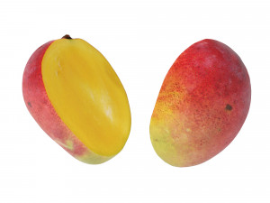 Mango 3D 模型