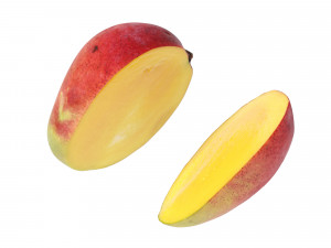 Mango 3D 模型