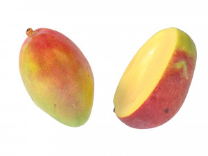 Mango 3D 模型