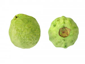 Guavas Green 3D Model