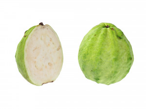 Guavas Green Modelo 3D