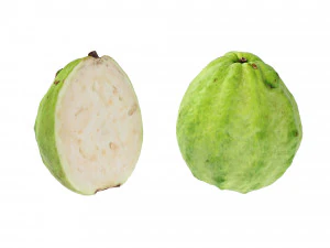 Guavas Green 3D Model