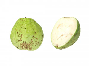 Guavas Green 3D Model