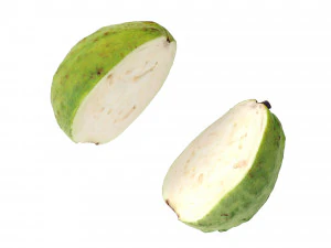Guavas Green 3D Model