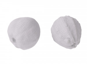 Guavas Green Modelo 3D
