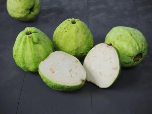 Guavas Green 3D Model