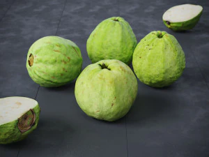 Guavas Green 3D Model