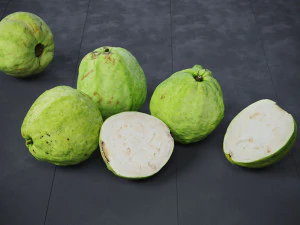 Guavas Green 3D Model