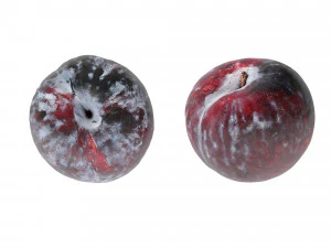 Black Plums 3D Model
