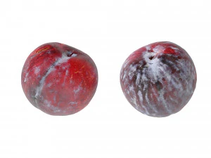 Black Plums 3D Model