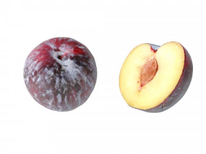 Black Plums 3D Model