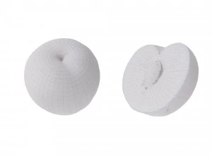 Black Plums 3D Model