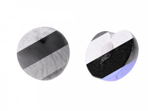 Black Plums 3D-Modell