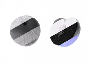 Black Plums 3D Model