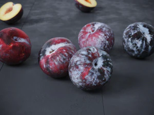 Black Plums 3D Model