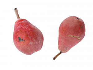 Pears Red 3D Model