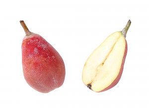 Pears Red 3D Model