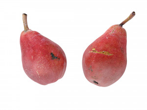 Pears Red 3D Model