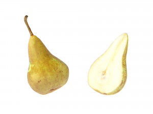 Pears Bosc 3D-Modell
