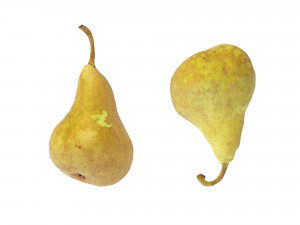 Pears Bosc 3D-Modell