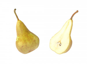 Pears Bosc 3D-Modell