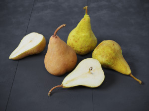 Pears Bosc 3D-Modell