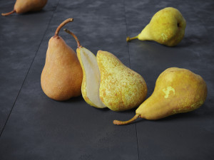 Pears Bosc 3D-Modell