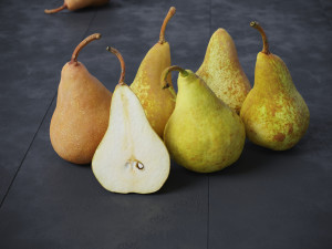 Pears Bosc 3D-Modell