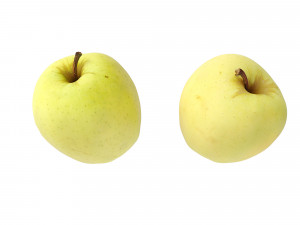 Golden Apples 3D Model