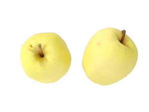 Golden Apples 3D Model