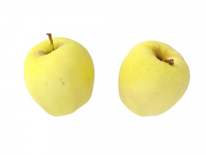 Golden Apples 3D Model