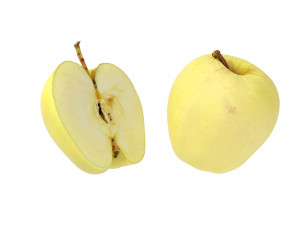 Golden Apples 3D Model