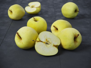 Golden Apples 3D Model