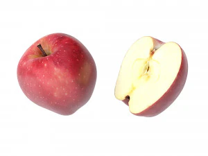 リンゴは真っ赤で美味しい 3Dモデル