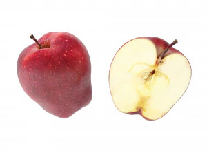 リンゴは真っ赤で美味しい 3Dモデル