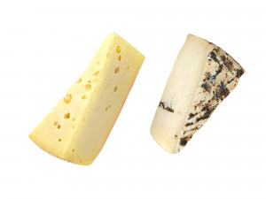 Cheese 1 Mixed 3D 模型