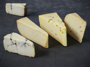Cheese 1 Mixed 3D 模型